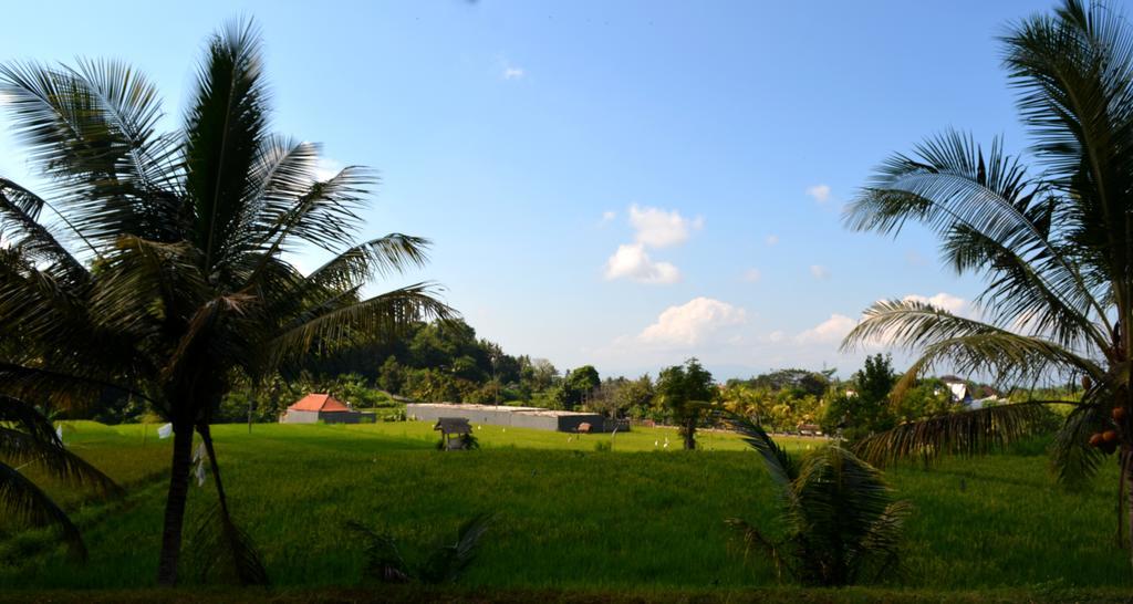 Hotel Wahyu Dewata Payangan Exterior foto